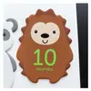 Custom Foam Sticker Manufacturer