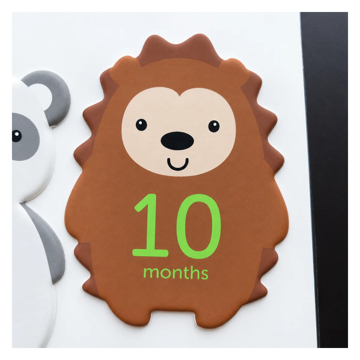 Custom Foam Sticker Manufacturer